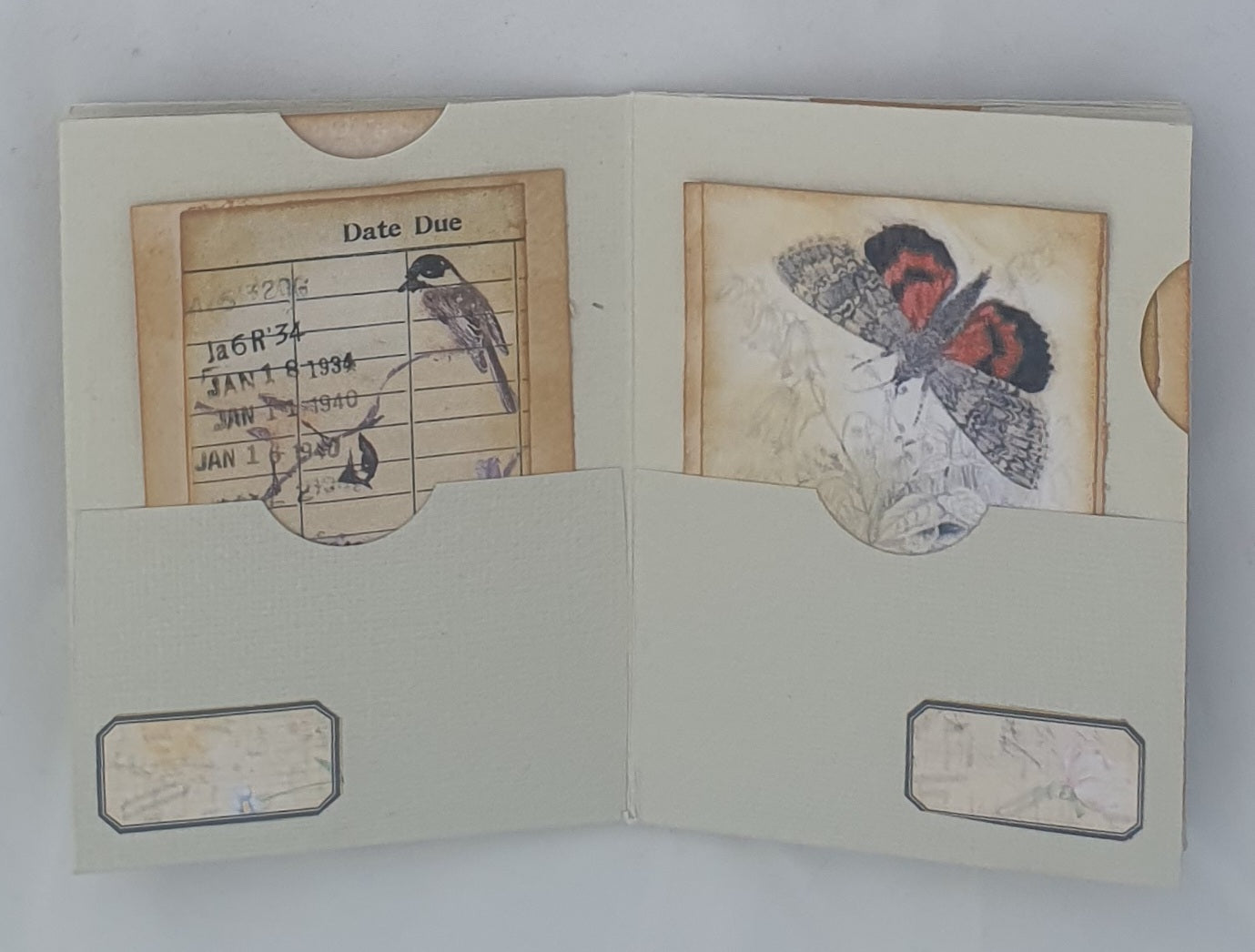 Birds and Butterflies Mini Pocketbook