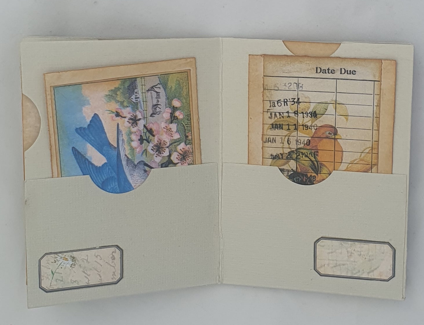 Birds and Butterflies Mini Pocketbook