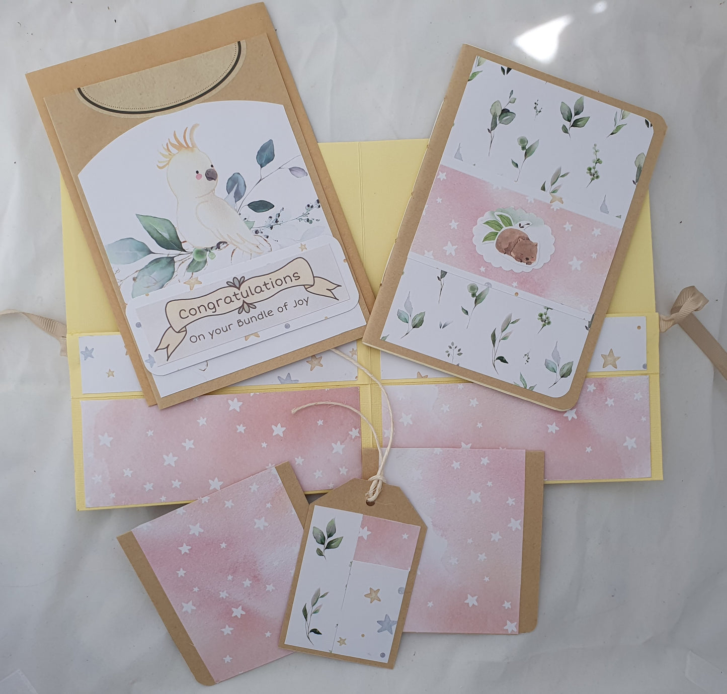 Baby Card Photo Album Gift Set with Gift Tag