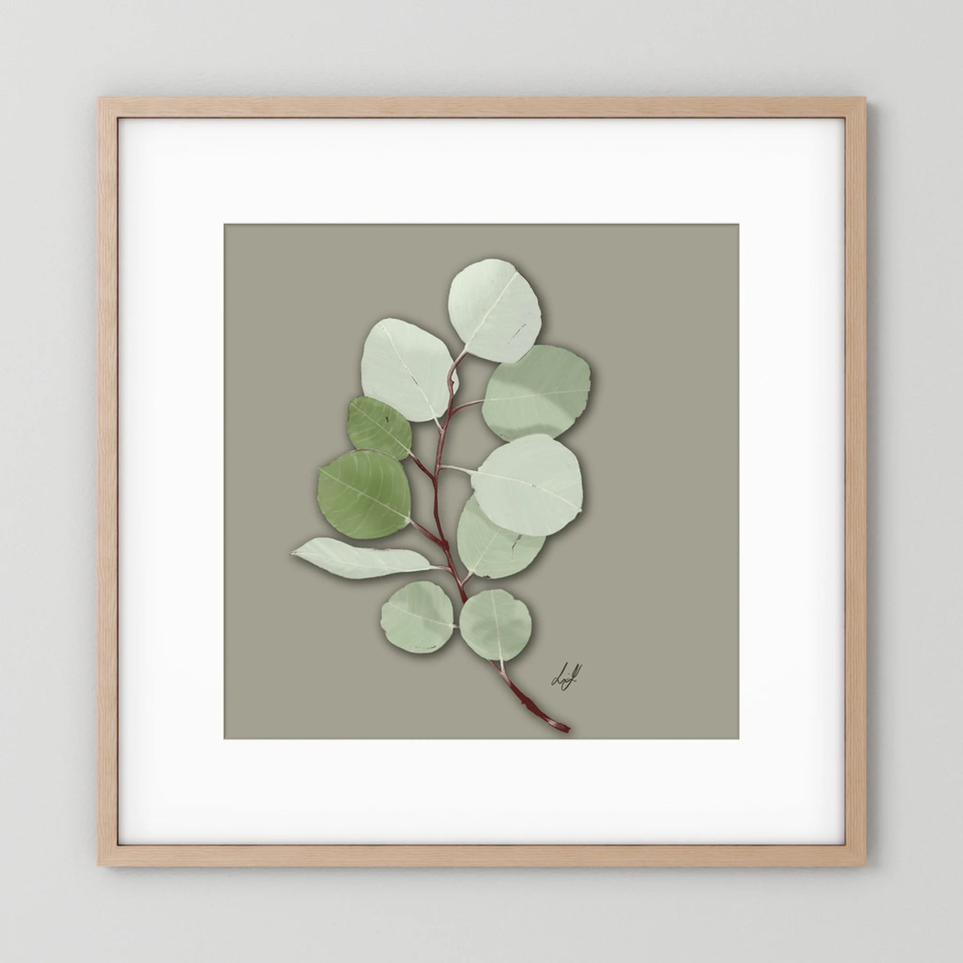 Silver Dollar - Fine Art Paper Print