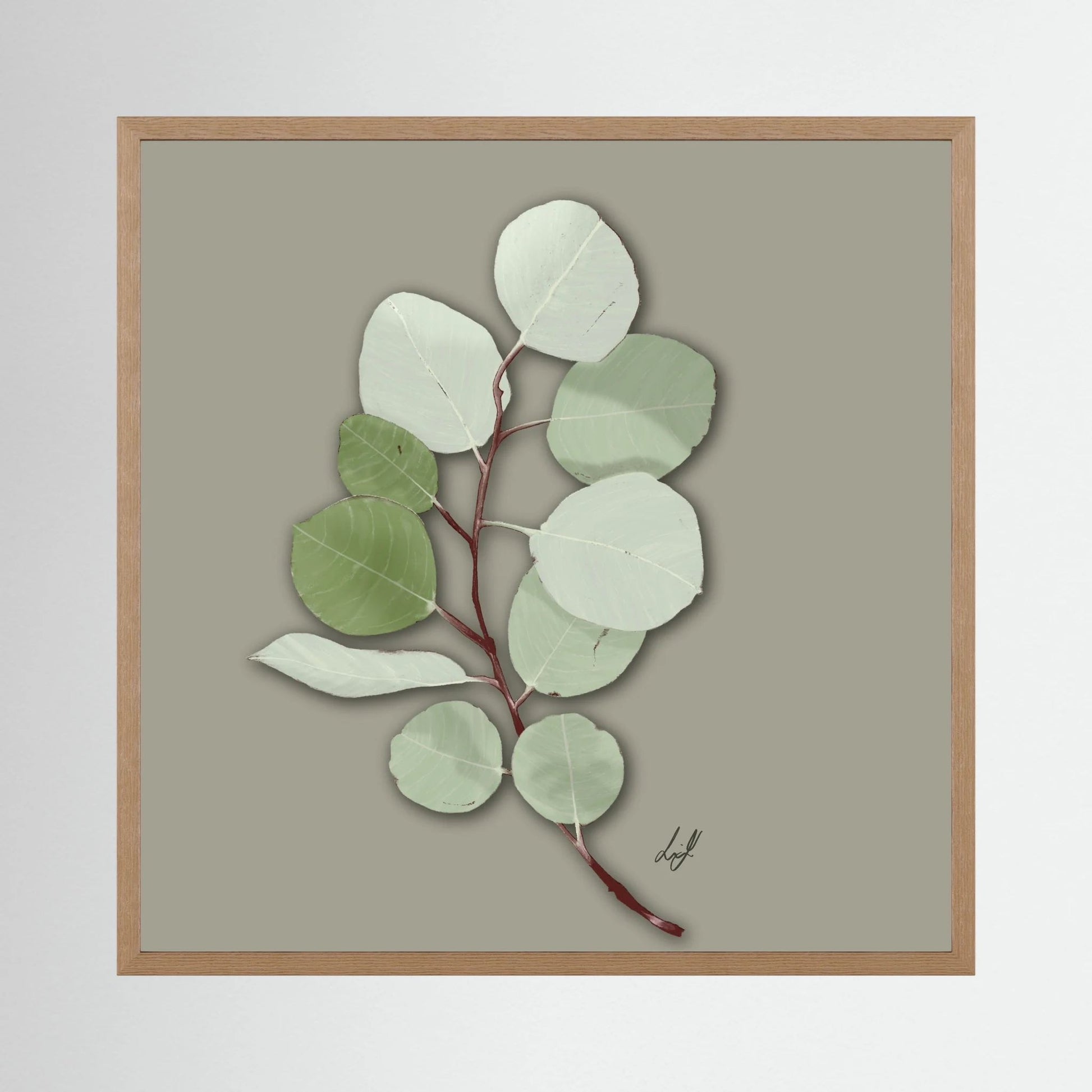 Silver Dollar - Fine Art Paper Print