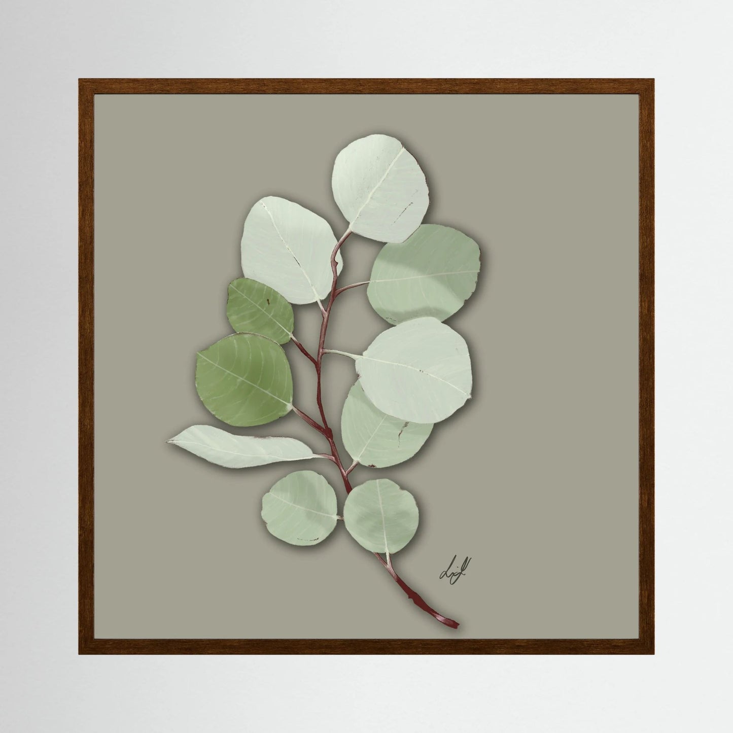 Silver Dollar - Fine Art Paper Print