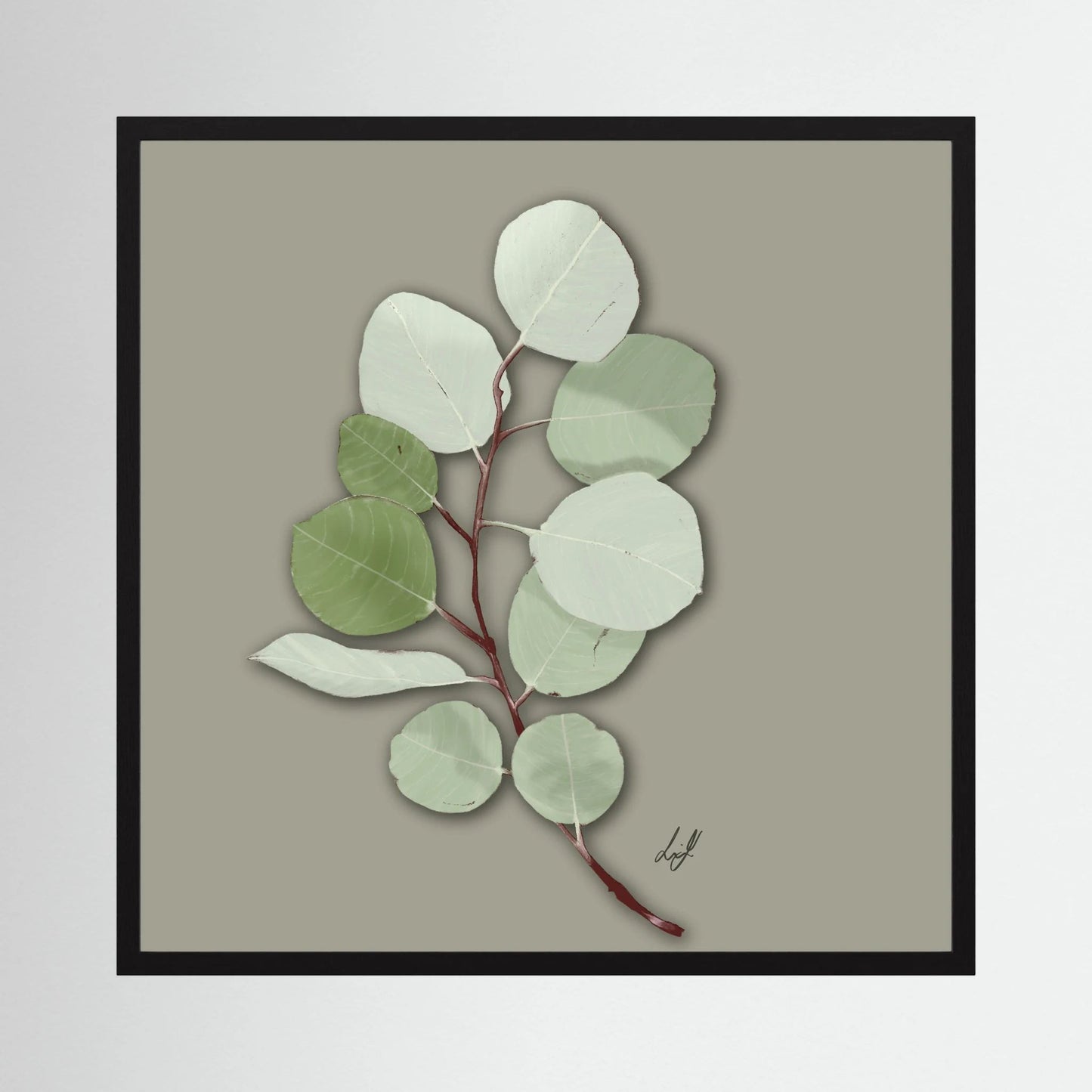 Silver Dollar - Fine Art Paper Print