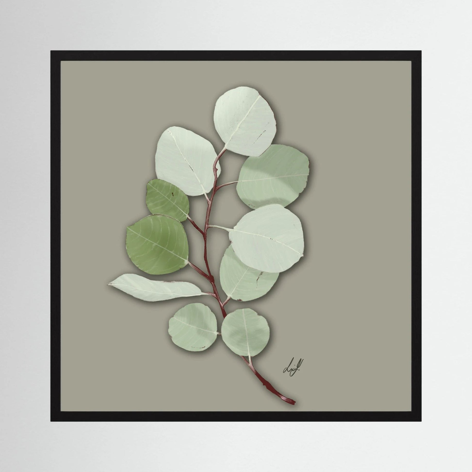 Silver Dollar - Fine Art Paper Print