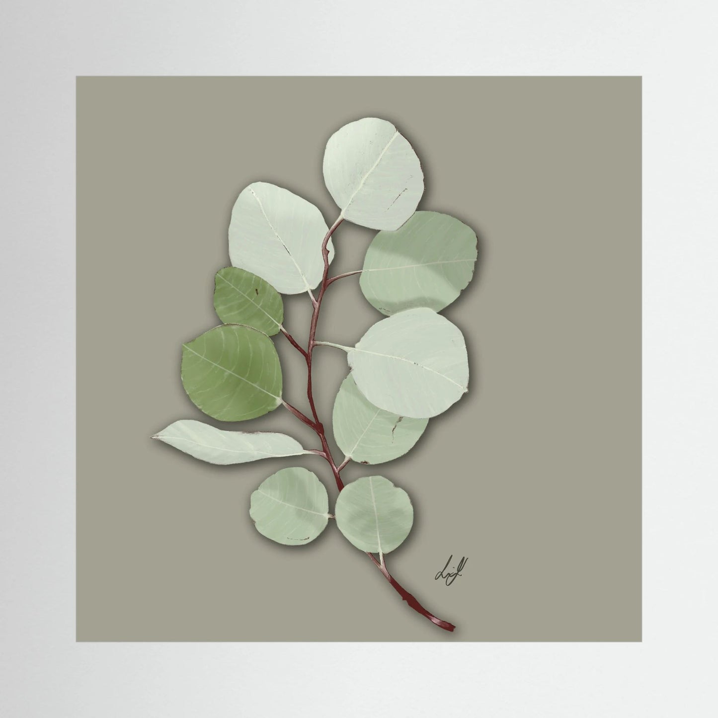 Silver Dollar - Fine Art Paper Print