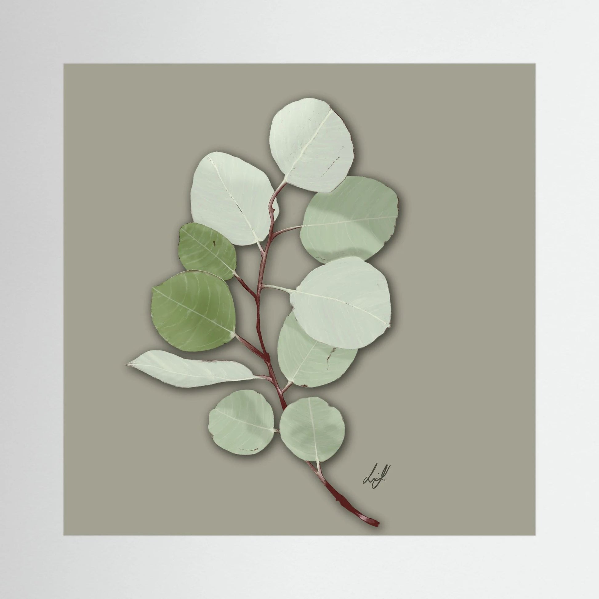 Silver Dollar - Fine Art Paper Print
