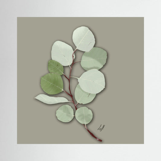 Silver Dollar - Fine Art Paper Print