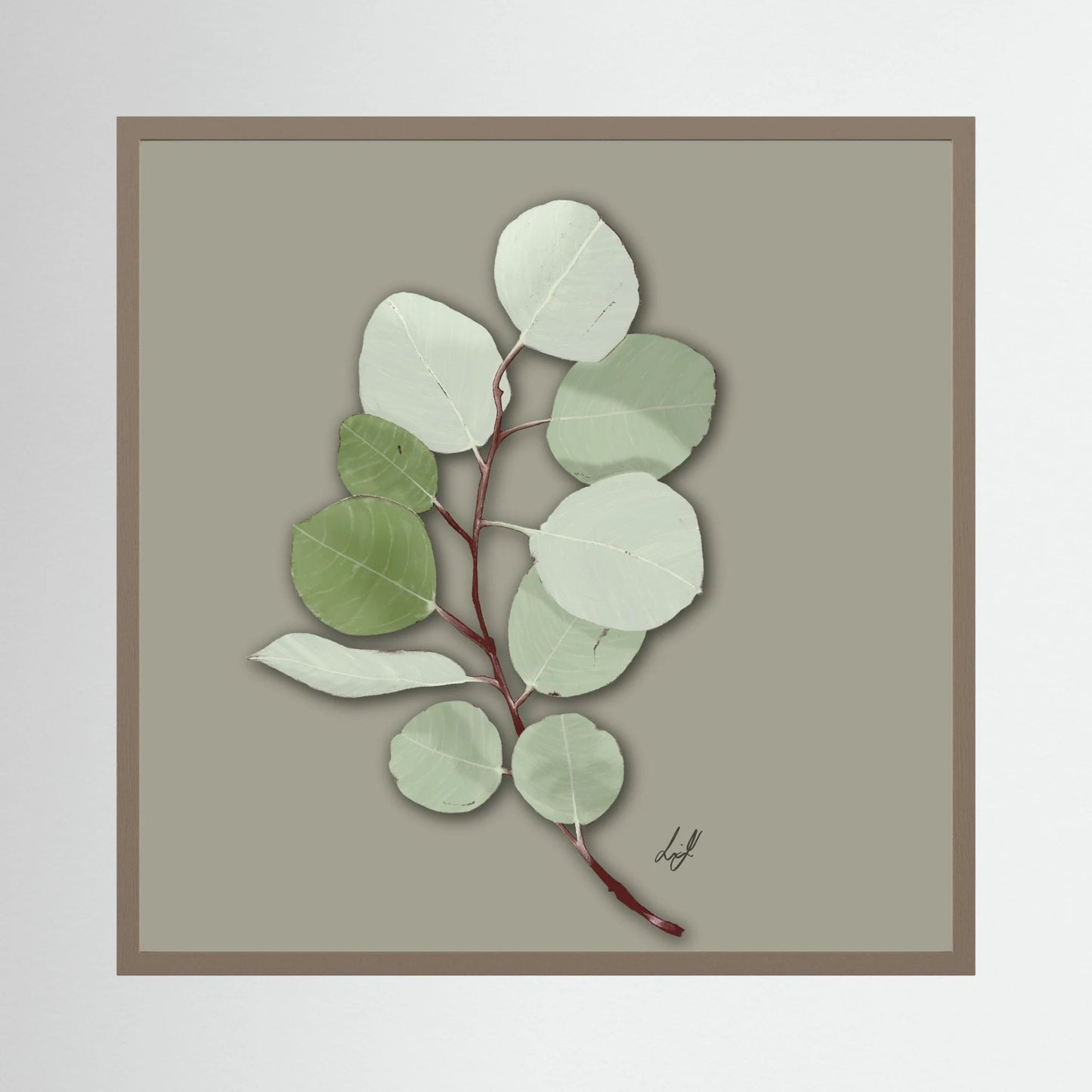 Silver Dollar - Fine Art Paper Print