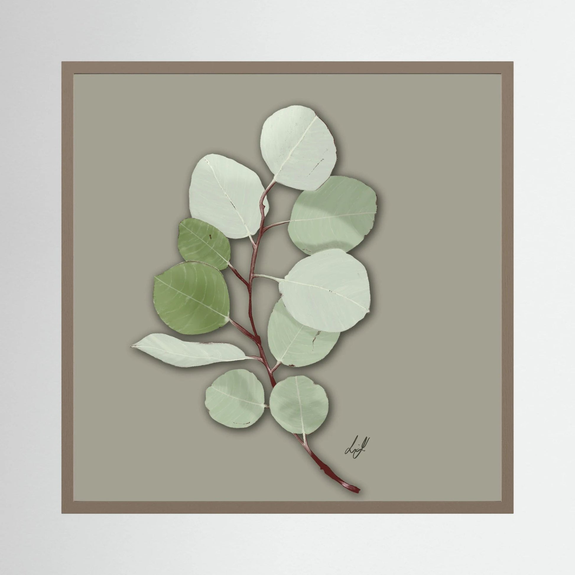 Silver Dollar - Fine Art Paper Print