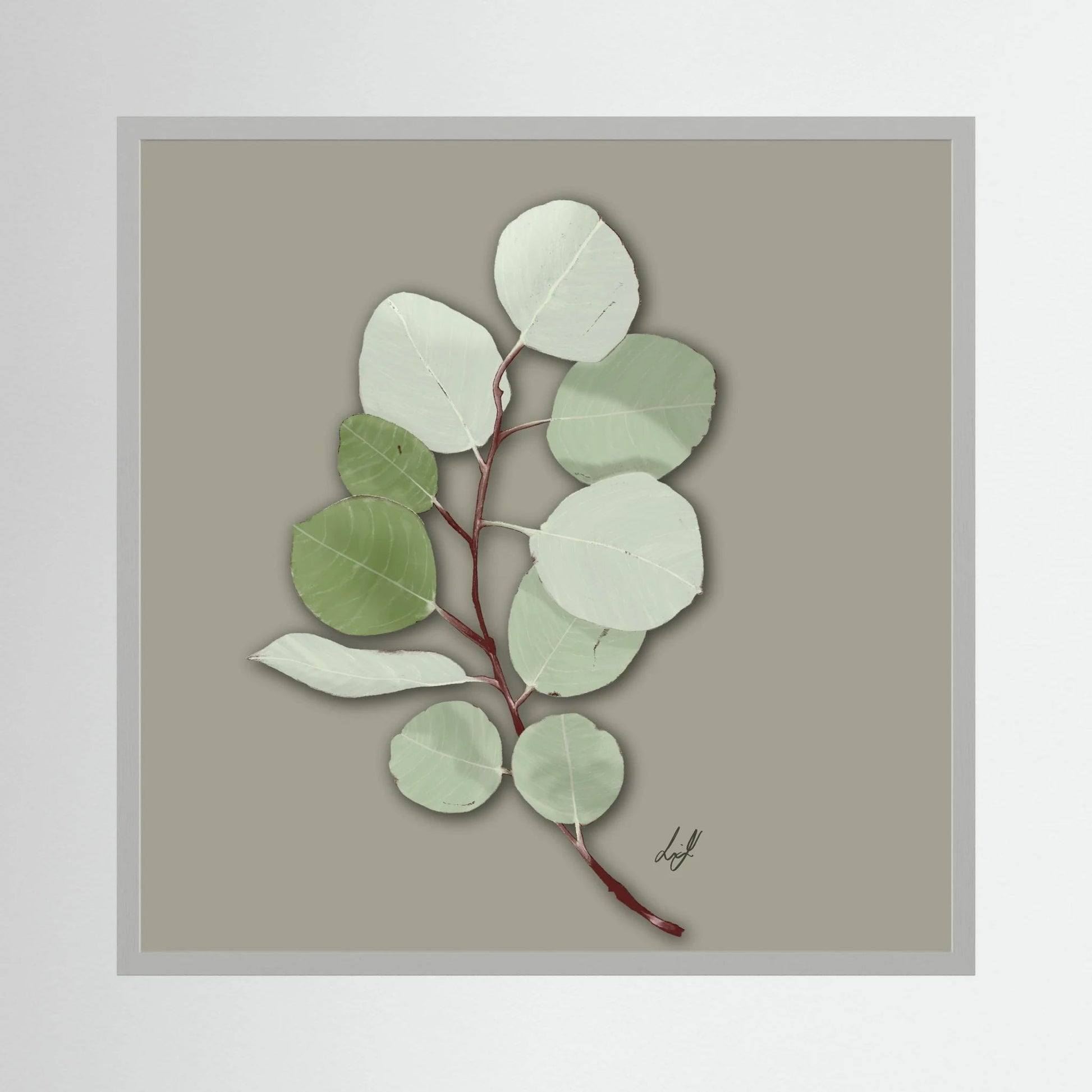 Silver Dollar - Fine Art Paper Print