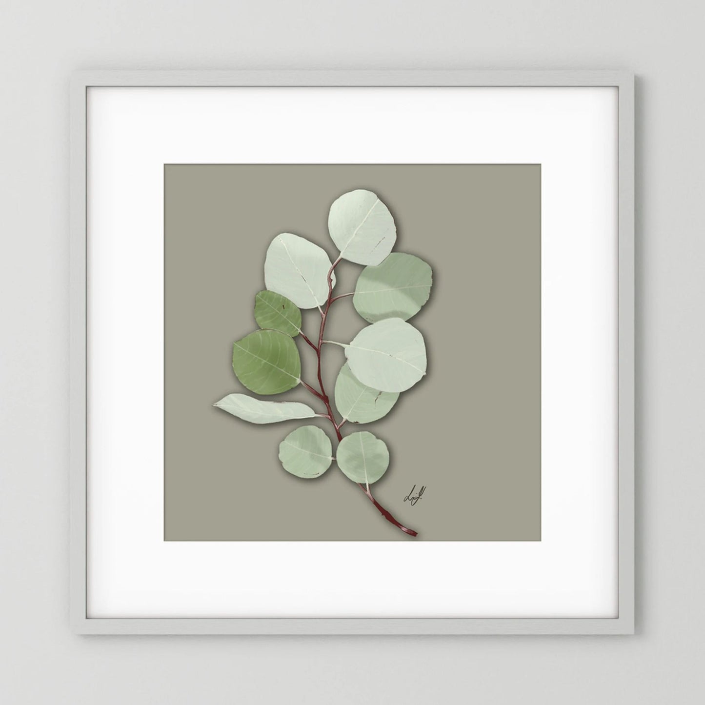 Silver Dollar - Fine Art Paper Print
