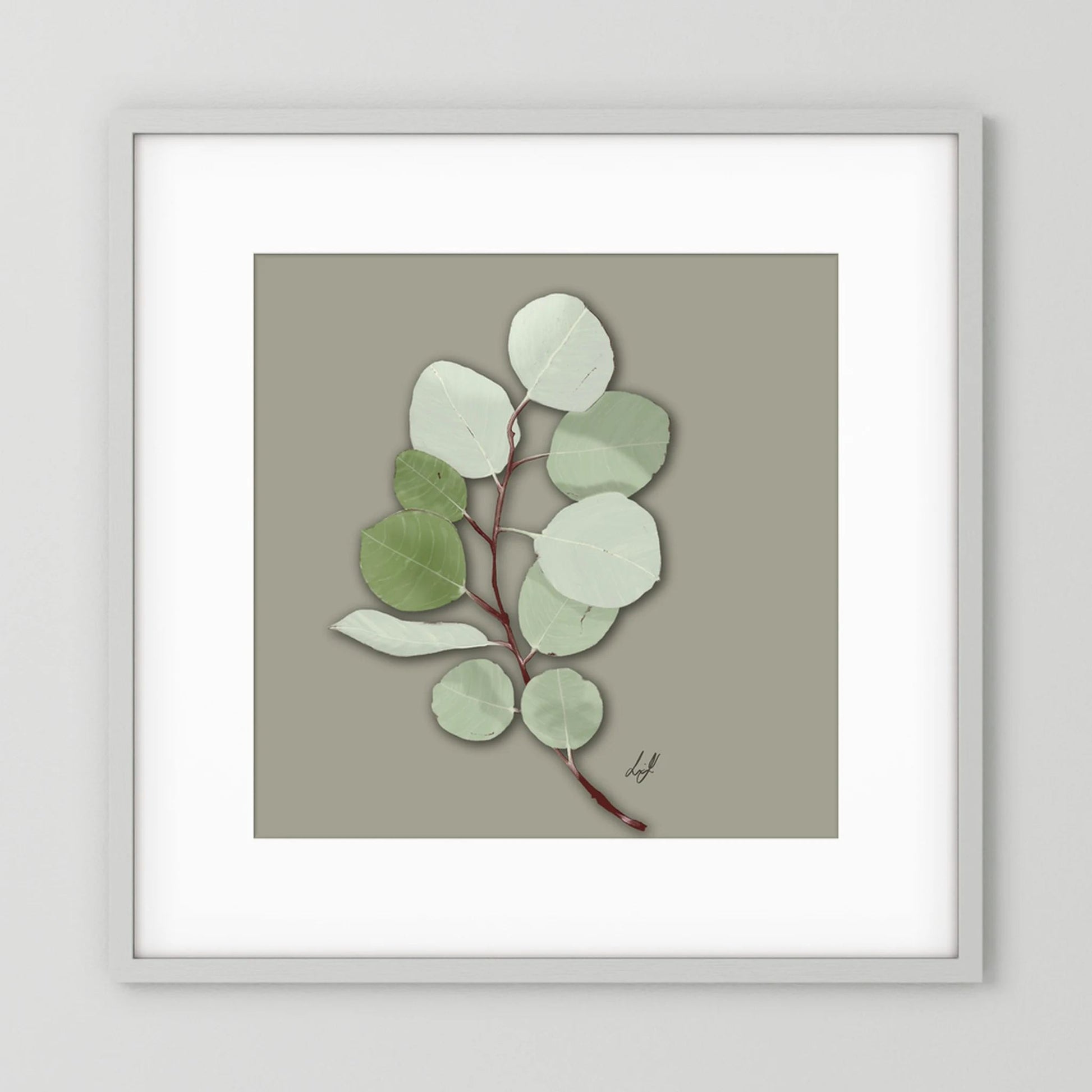 Silver Dollar - Fine Art Paper Print