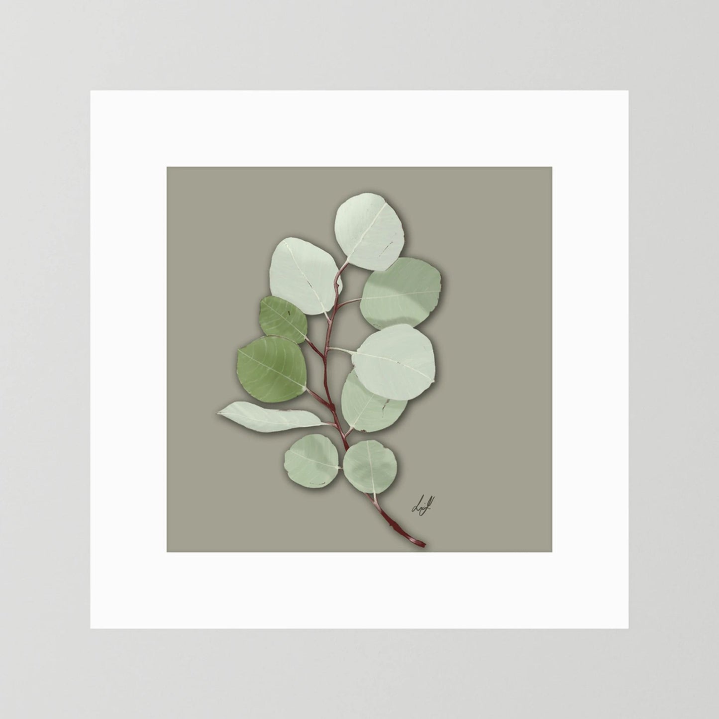 Silver Dollar - Fine Art Paper Print