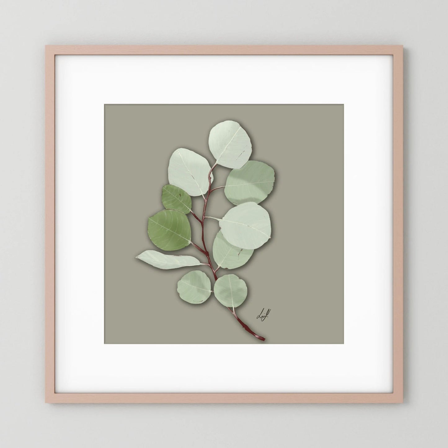 Silver Dollar - Fine Art Paper Print