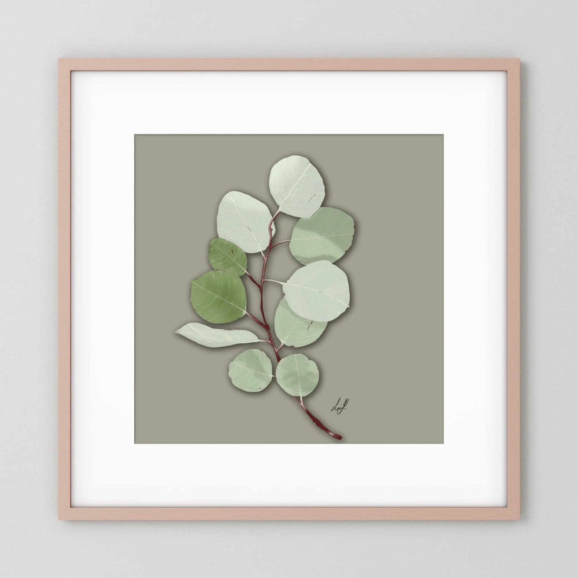 Silver Dollar - Fine Art Paper Print