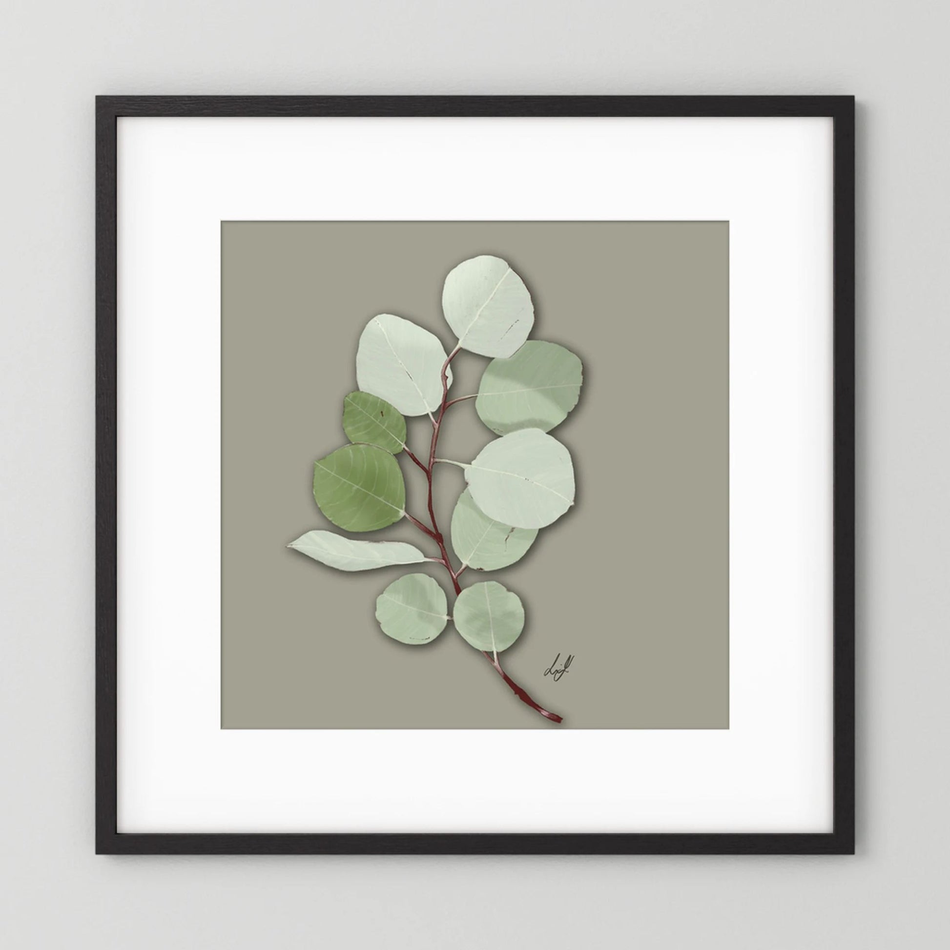 Silver Dollar - Fine Art Paper Print