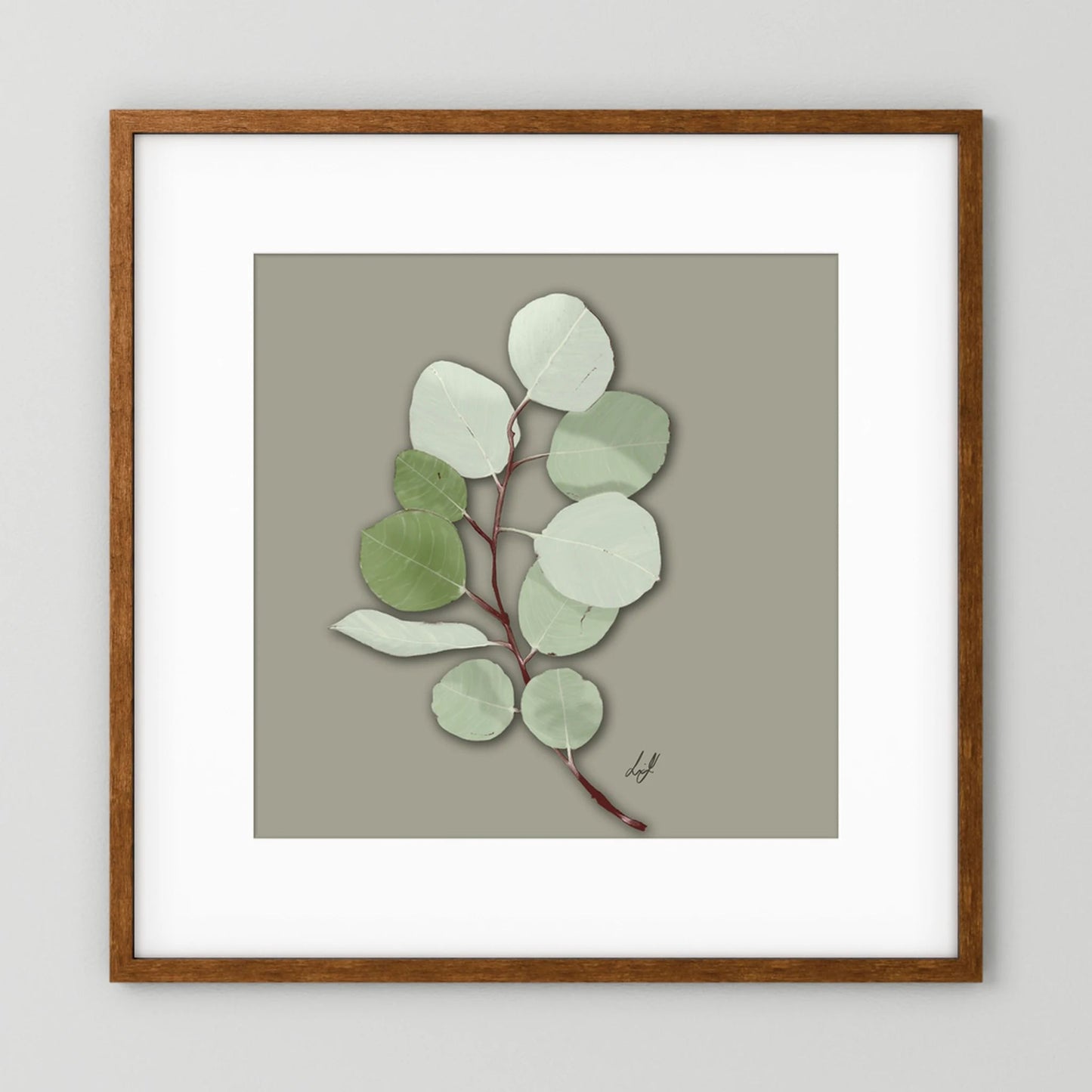 Silver Dollar - Fine Art Paper Print