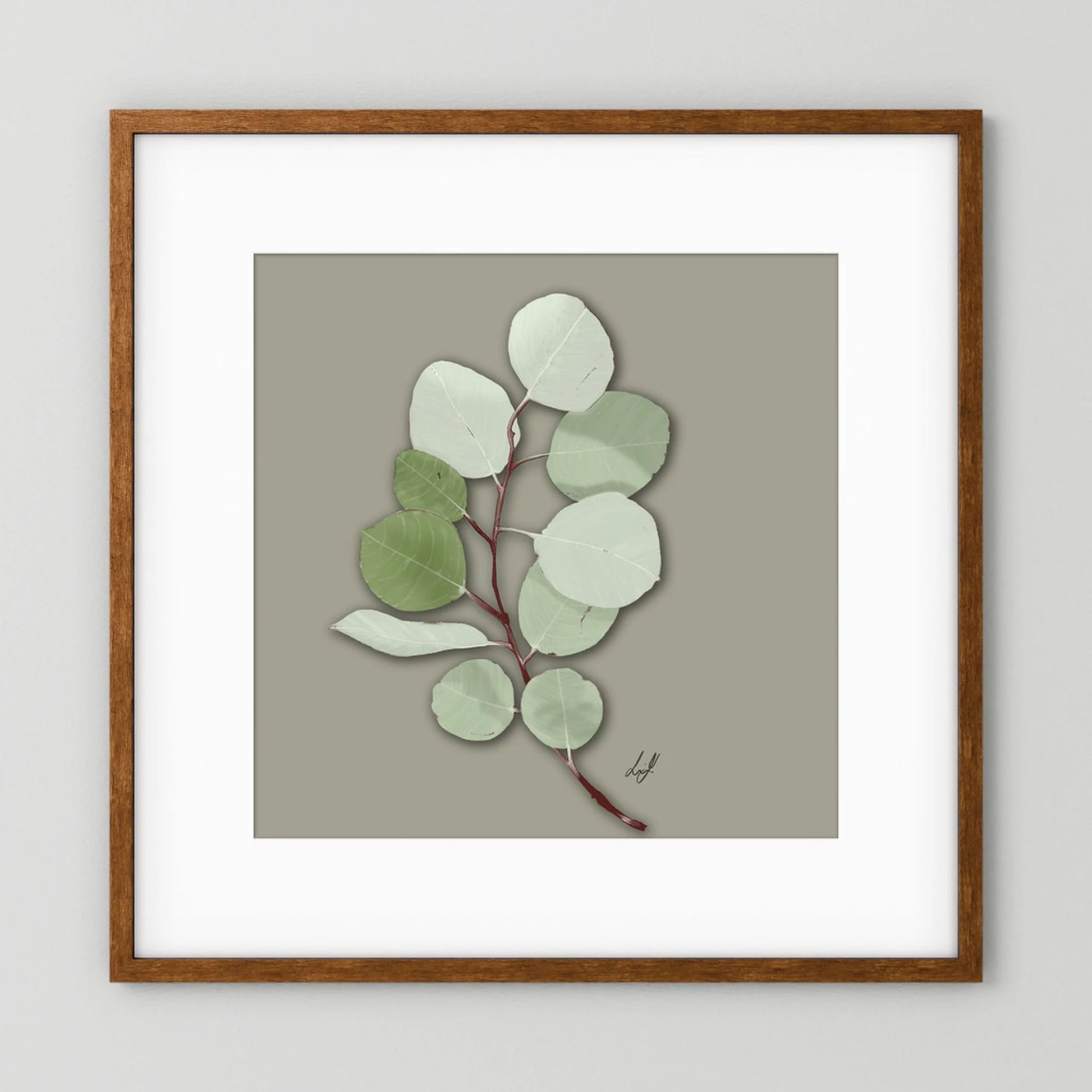 Silver Dollar - Fine Art Paper Print