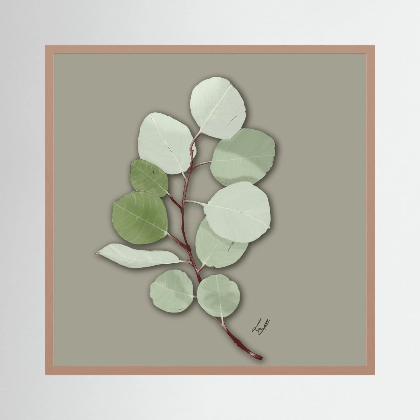 Silver Dollar - Fine Art Paper Print