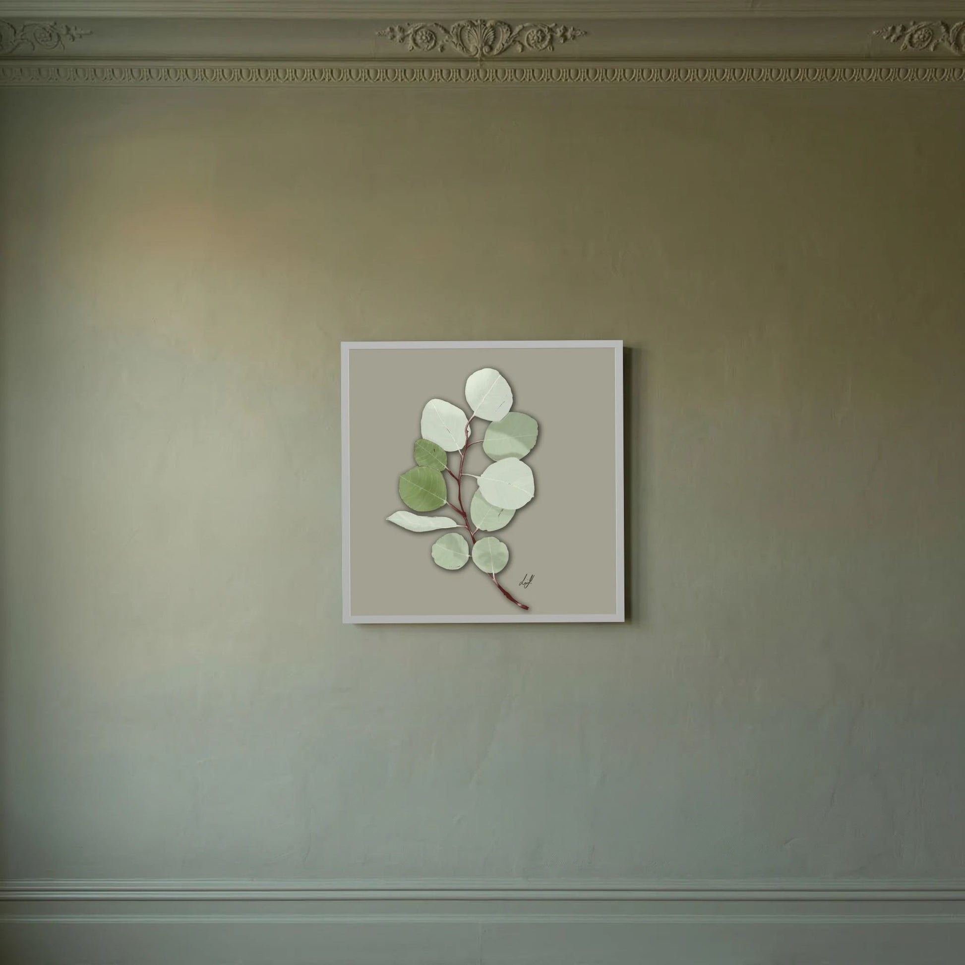 Silver Dollar - Fine Art Paper Print