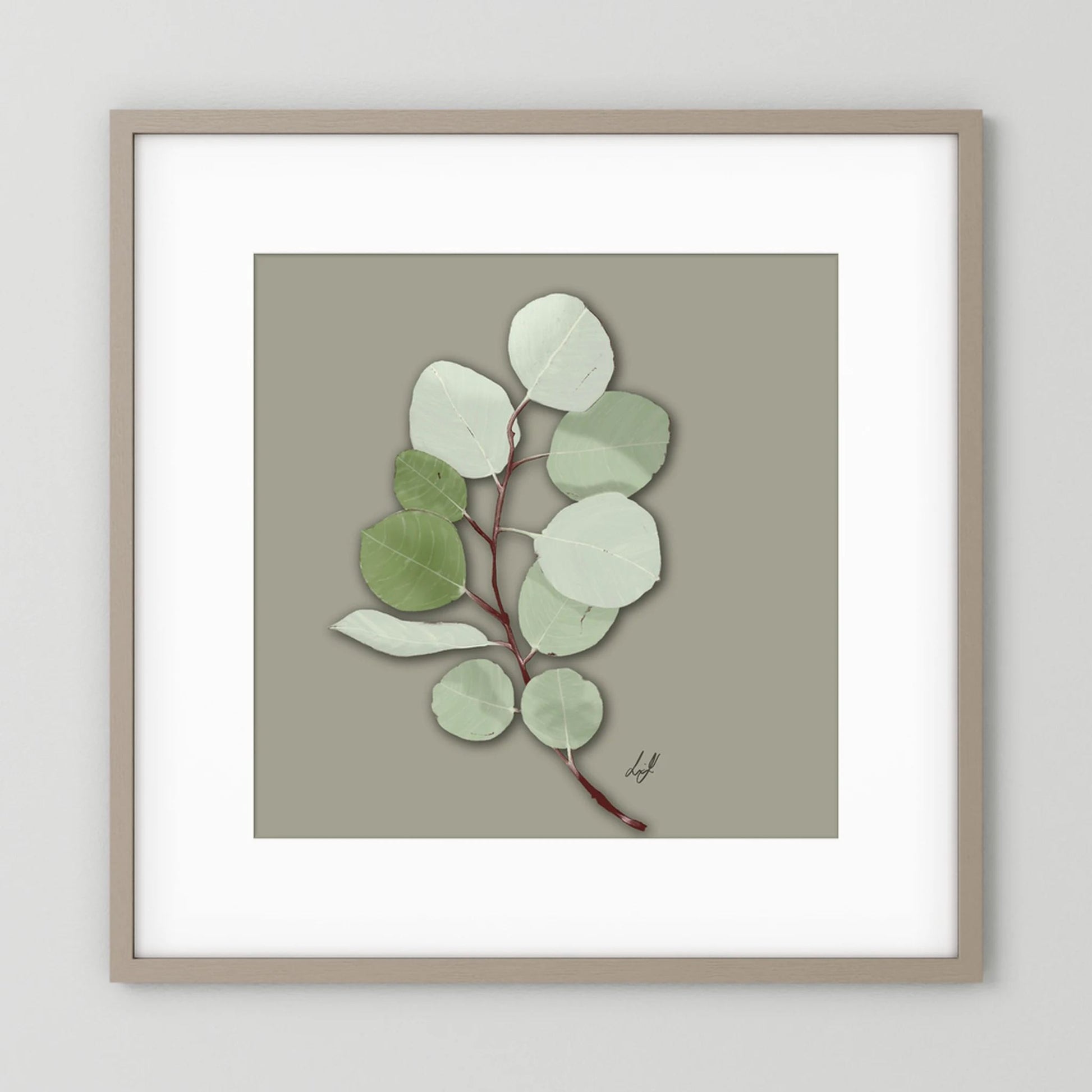 Silver Dollar - Fine Art Paper Print
